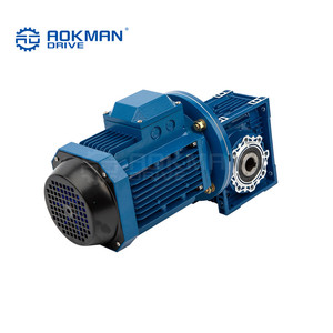 Motorreductor de gusano ODM personalizable con eje de salida hueco montado en el pie - Product Image 5