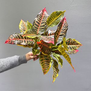 Planta Artificial Meng Jie de Hojas Perennes, 14 Hojas, Follaje de Plástico, Decoración para el Hogar, Verde, Rojo, Amarillo - Product Image 4