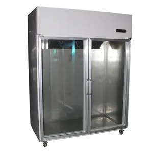 Upright 2 Glass Doors 1000L Fan Cooling Ice Display Coolers Ice Bin 900lb Storage Capacity