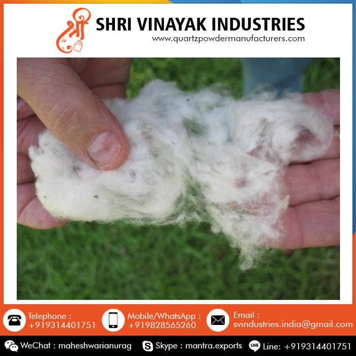 Wholesale Cotton 100% Pure Organic Raw Cotton Buy From Indian Exporter