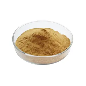 OEM Organic Chia Seed Protein Powder Raw Material Chia Protein Powder 50% Daily Support Chia Protein Powder Increase Satiety