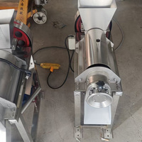 Fruit- en groentepulpmachine, fruit- en groentegember-sapmachine