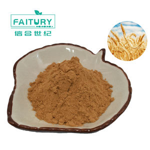 Poudre d'extrait de malt d'orge d'approvisionnement d'usine poudre de malt d'orge d'extrait de grain - Product Image 2