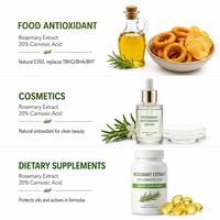 LCHBIO Extrait de Romarin en Vrac 20% Acide Carnosique en Poudre 3650-09-7 Extraction par Solvant 20% de Contenu Qualité Alimentaire (Aliment Santé) Naturel