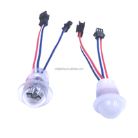 Lampes LED RGB CHJ Carnival Carousel 20mm UCS1903 12V IP65 pour manèges et parcs d'attractions