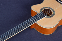 Chinese Stringed Instrument Manufacturer Custom OEM Brand 4/4 Size 6 Nylon String Beginner Classical Electric Guitar