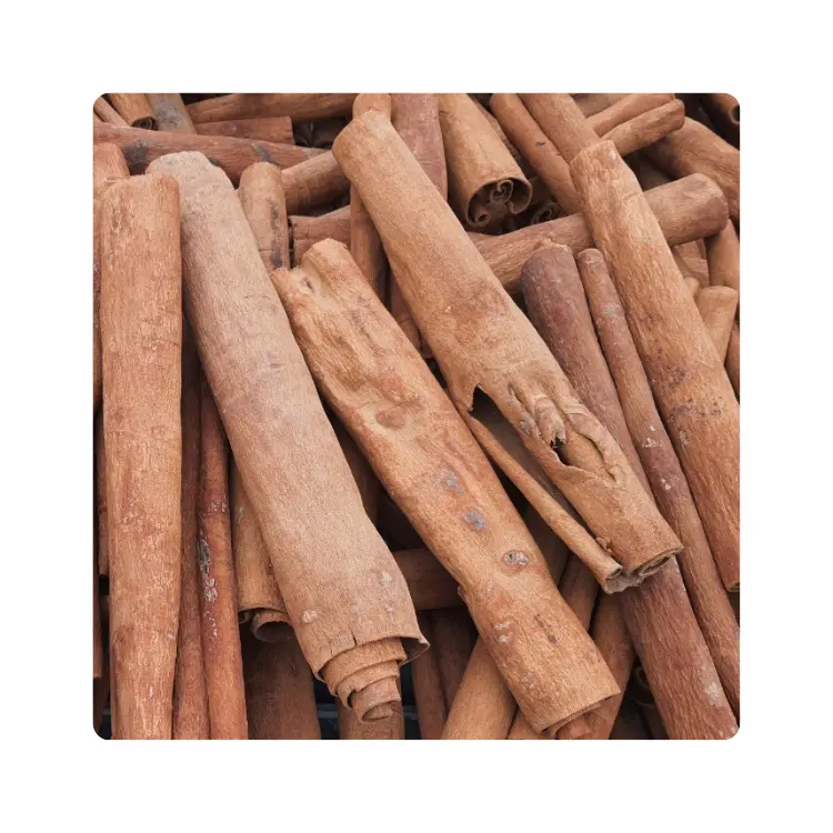 Rempah-rempah tunggal & Rempah harga rendah kualitas tinggi kayu manis organik standar internasional Pod biji organik alami