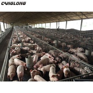Low Cost <strong>Prefabricated</strong> Steel Frame Housing Pig House <strong>Building</strong> for Sale - Product Image 5