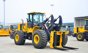 Lista de Precios de la Carretilla Elevadora (Montacargas) Xcm g LW600KV-T25 de la Famosa Marca China Xcm g, en Venta - Product Image 3