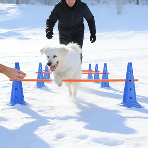Custom Hot-selling <b>Dog</b> Agility Training Equipment Tunnel Poles Hurdles Exercise Pet Obstacle Course Agility Pet Training Set - Product Image 3