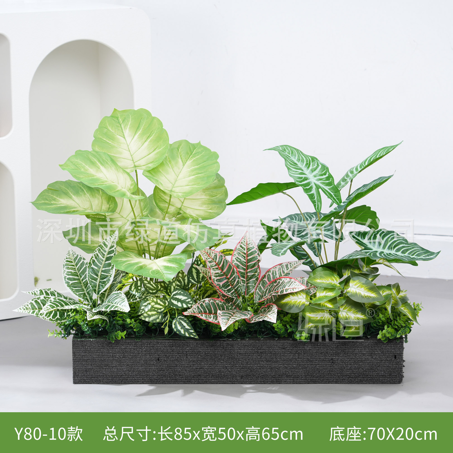 hc-Y80-10 convient aux jardinières de 80 cm