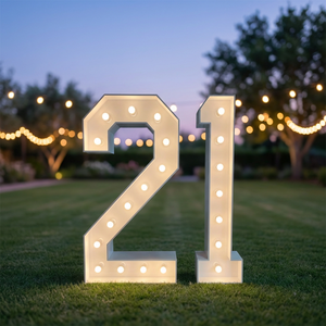 Hongsen Custom 3D <b>Sign</b> Outdoor/Indoor Wedding Decor RGB LED Giant Numbers 3ft 4ft 5ft Marquee Letters for Bar Office Party - Product Image 5