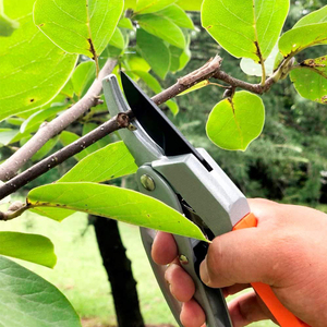 Offre Spéciale Jardin Des Plantes Outils De Coupe Manuel Main Fruits Branche D'arbre Fleur Bypass Ciseaux Cisailles Pruner Ratchet Pruner - Product Image 6