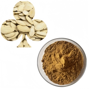 Fornitura di Fabbrica all'Ingrosso: Polvere di Estratto di Semi di Zucca di Alta Qualità, 100% Pura, Polvere Vegetale Biologica Sfusa - Product Image 6