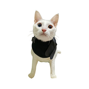 Fascia Terapeutica a Luce Rossa e Infrarossi Certificata CE per Gatti, in Neoprene+TPU, Alimentazione Elettrica, Attrezzatura Veterinaria Terapeutica - Product Image 3