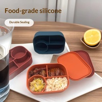 Biologisch afbreekbare siliconen vierkante lunchbox met compartimenten, afsluitbaar, magnetronbestendig, milieuvriendelijke fruitcontainer