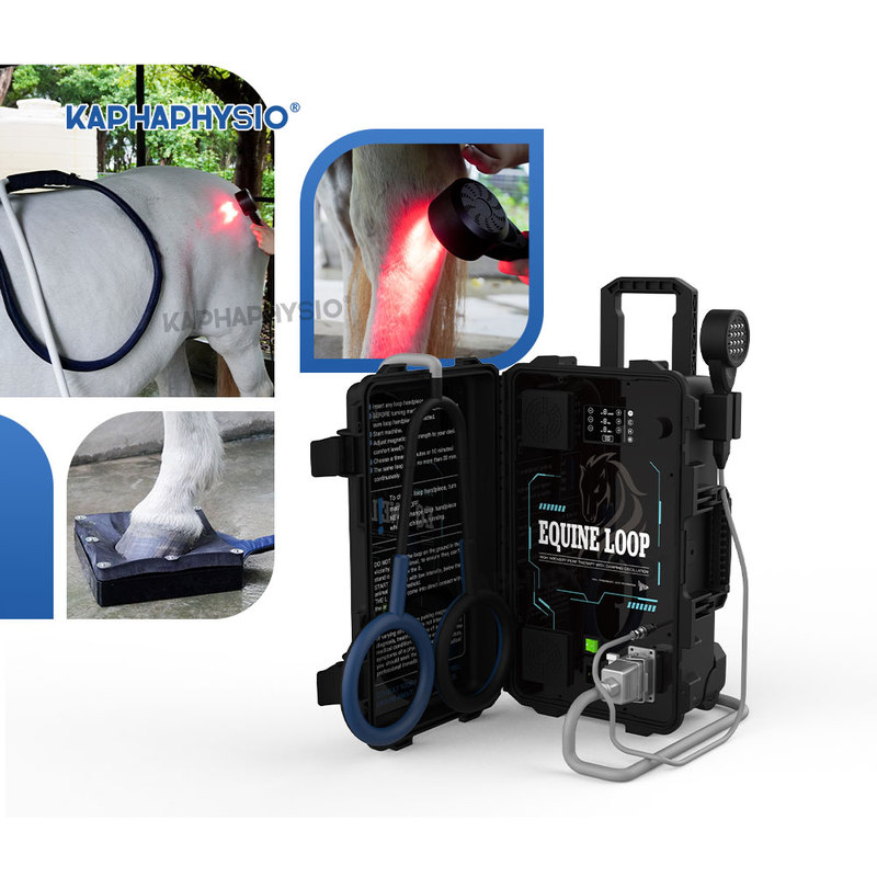 KAPHAPHYSIO Professional Equine Veterinary Therapy Equipment