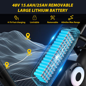 EU US EWG-zertifiziertes Pamila E3 E-Fatbike mit Mittelmotor, hohem Drehmoment von 60 N.<span class=keywords><strong>m</strong></span>, 48 V 750 W, 15,6 Ah/25 Ah, 45 km/h, 80 km Reichweite - Product Image 4