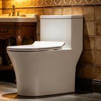 Ensemble WC monobloc en céramique à siphon à jet, économie d'eau et anti-odeur, pour hôtels et maisons d'hôtes