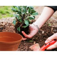 SC ECOMMERCE Set 10 Pot Plastik Oranye Mengkilap 3,5 Liter Pot Tanaman Luar Ruangan Pot Bunga Model KN-VP9R-RV6J Buatan AS