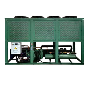 Unité de réfrigération refroidie par air 5hp 6hp 10hp 15hp 20hp avec unités de condensation de compresseur Bitzer pour chambre froide de congélateur