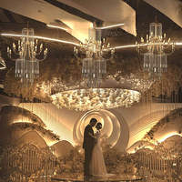 Nouvelle Arrivée Élégante : Lustre en Cristal Doré/Argenté pour Salle de Mariage, Luminaire de Plafond Électroplaqué, Rideaux Lumineux Perlés