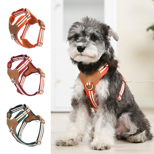 Arnés de lujo para mascotas, conjunto de correa para perros, arnés de nailon para perros, chaleco para perros grandes, nuevo chaleco de entrenamiento deportivo, diseño de cuero de estilo - Product Image 4