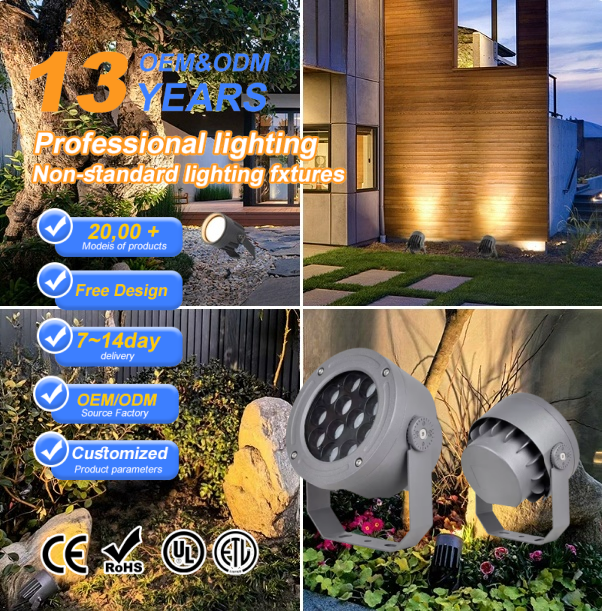 Aluminum Body High Brightness LED Floodlight COB Chip IP65 Rating for Outdoor Landscape Lighting with RGB Color
