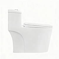 Ensemble de toilettes bidet en céramique à montage au sol avec chasse d'eau cyclonique à double chasse, sanitaire moderne pour villa et hôtel