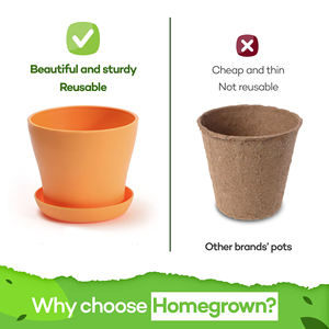 Kit de jardí<span class=keywords><strong>n</strong></span> de hierbas Regalos únicos de jardinería para mujeres <span class=keywords><strong>8</strong></span> Variedad Kit de jardí<span class=keywords><strong>n</strong></span> de hierbas culinarias Interior y exterior - Product Image 3