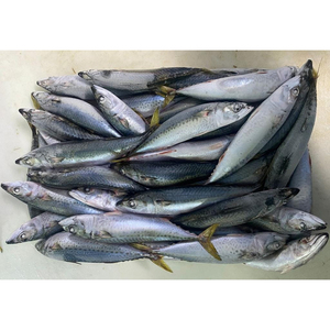 <span class=keywords><strong>Sardinas</strong></span> congeladas al por mayor Caballa Sardina HGT Proceed <span class=keywords><strong>Sardinas</strong></span> para exportaciones - Product Image 4