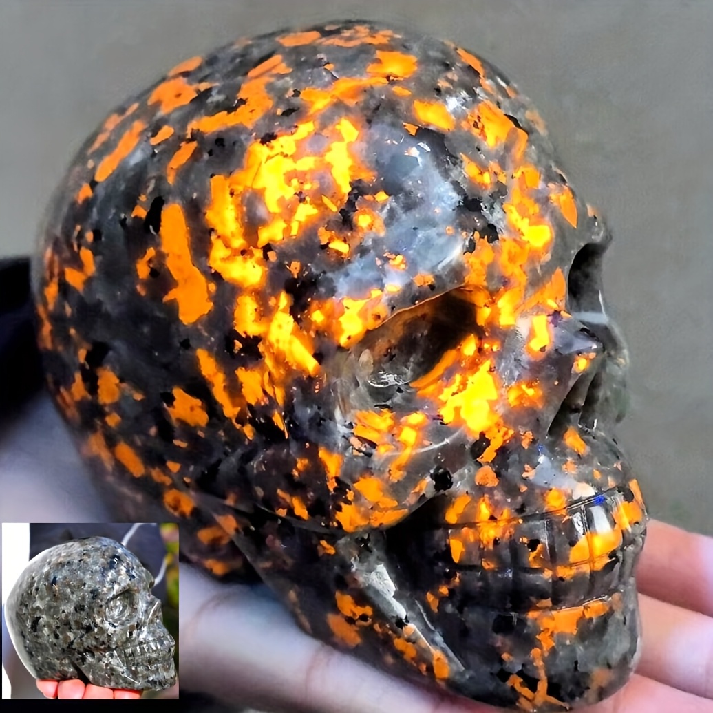 crâne de yooperlite