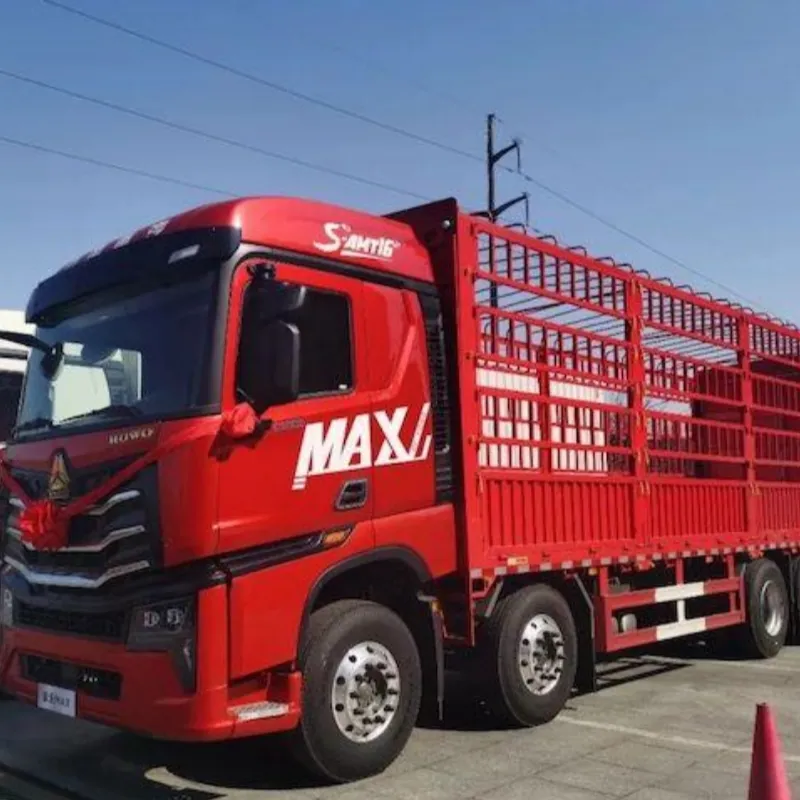 2023 New Trucks Sinotruk 6x4 Howo Tipper Truck Dump Trucks made in China