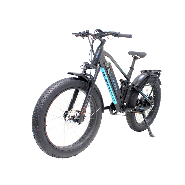 GDS 1000W Bafang Motor Electric Mountain Bike with Fat Tire Full Suspension Ebike