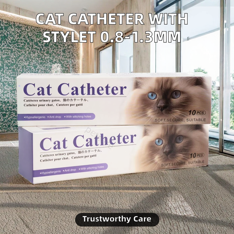 Veterinary Vet Surgical Use Clinic Animal