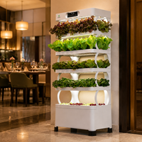 Système de jardinage vertical hydroponique avec éclairage LED, jardinière d'intérieur multi-niveaux pour légumes et herbes, arrosage automatique pour la maison