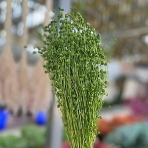 Ramo <span class=keywords><strong>de</strong></span> Flores Secas Reales y Coloridas <span class=keywords><strong>de</strong></span> 50g, Paquetes <span class=keywords><strong>de</strong></span> Artesanía para el Día <span class=keywords><strong>de</strong></span> San Valentín - Product Image 4