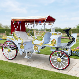 Calèche électrique en acier pour visites touristiques, mariage, rickshaw, remorque, calèche électrique personnalisable pour adultes - Product Image 1