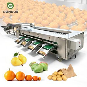 Máquina clasificadora y de calibración de tamaño para aguacate, ajo, patata, mango, naranja, tomate, cebolla, verduras y manzanas, y clasificadora de frutas. - Product Image 1