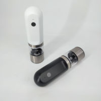 Moulin à sel et à poivre portable, écologique, personnalisable en couleur, rechargeable par USB, à prix compétitif