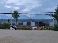 Serre de grande taille à prix d'usine, serre multispan personnalisée, serre multispan en plastique durable, qualité supérieure, vente chaude