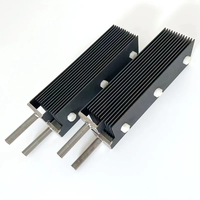 Ánodo de Titanio Recubierto de Rutenio e Iridio TA1 TA2 Gr1 Gr2, Electrodo de Ti para Tratamiento de Agua, Electrólisis, Industria Cloro-Alcalina