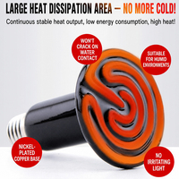 Lampe chauffante à spectre complet pour poussins, perroquets, serpents de compagnie, pour le maintien au chaud, sauna et lampe à vapeur