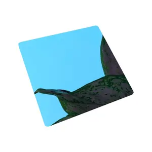 벽 패널을 위한 웅대한 고품질 201 304 장식적인 pvd 색깔 스테인리스 장 거울 표면
