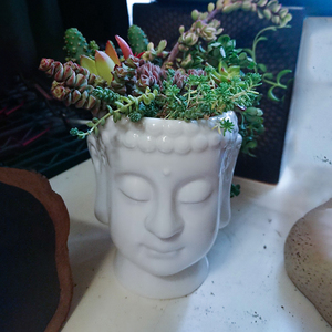 Estatua de Cabeza de <span class=keywords><strong>Buda</strong></span> para decoración del hogar, <span class=keywords><strong>maceta</strong></span> de plantas suculentas, macetas, florero de cerámica, suministros de jardinería de escritorio - Product Image 3