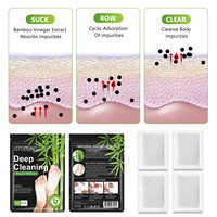 Échantillon Gratuit SEFUDUN : Patchs Détoxifiants Naturels pour les Pieds, Nettoyage Profond aux Herbes, Bambou, Absinthe et Gingembre