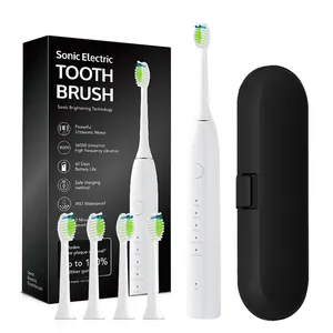 2024 Usb Rechargeable Ultrasonic Sound Wave Sonic Electric Toothbrush For Adults