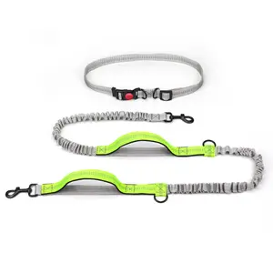 Custom designer heavy duty reflective luxury nylon double hands free retractable rope pet leashes collar dog leash