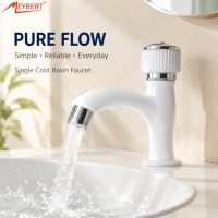 Robinet de lavabo en plastique à poignée unique, monotrou, eau froide, pour salle de bain, montage sur comptoir, vente en gros pour le Brésil et l'Asie du Sud-Est