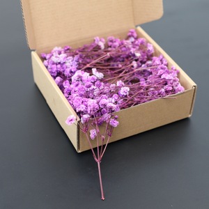 <span class=keywords><strong>Flores</strong></span> de Gypsophila Preservadas 50g Venta <span class=keywords><strong>al</strong></span> <span class=keywords><strong>por</strong></span> <span class=keywords><strong>Mayor</strong></span> de Fábrica <span class=keywords><strong>Flores</strong></span> <span class=keywords><strong>Secas</strong></span> Naturales Ramo de <span class=keywords><strong>Flores</strong></span> de Aliento de Bebé - Product Image 2